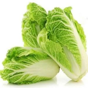 Fresh Iceberg Lettuce