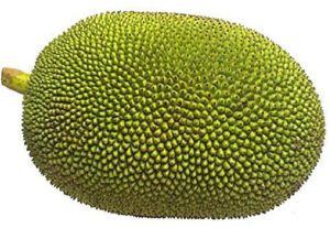 Fresh Jackfruit, Color : Green