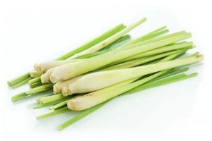 Fresh Lemon Grass