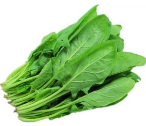 Fresh Spinach Leaves