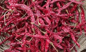 KDL Dry Red Chilli