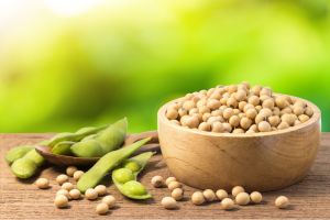 Soya Beans For Human Consumption