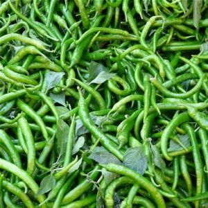 Fresh Green Chilli For Cooking