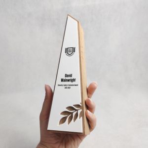 Polished Wooden Trophy, Color : Brown, Packaging Type : Box