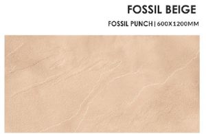 Fossil Beige Ceramic Floor Tiles, Packaging Type : Carton Box