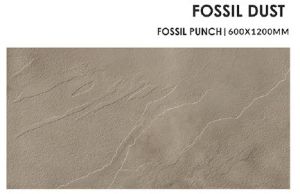 Fossil Dust Ceramic Floor Tiles, Packaging Type : Carton Box