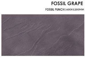 Fossil Grape Ceramic Floor Tiles For Interior