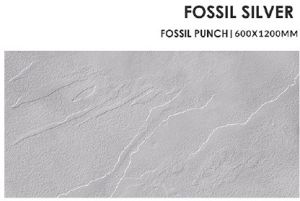 Fossil Silver Ceramic Floor Tiles For Interior