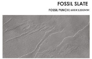 Fossil Slate Ceramic Floor Tiles For Interior