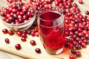 Fresh Cranberry Juice, Packaging Type : Bottle