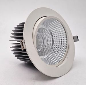 Aluminium Accent LED COB Light, Body Color : White, Black