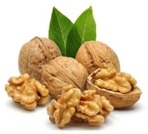 Whole Walnut