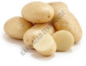 Organic A Grade Potato, Packaging Size : 5-25kg