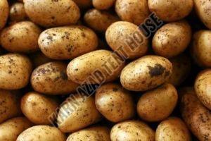 Organic Brown Potato, Packaging Size : 5-25kg