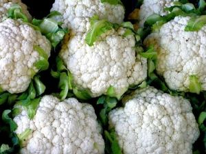 Fresh Cauliflower, Packaging Type : Jute Bag