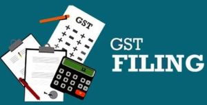 GSTR-9C Return Filing Services