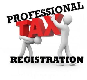 Professional Tax Registration Services