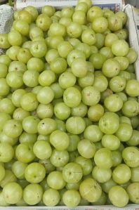 Organic Fresh Gooseberry For Human Consumption