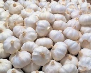 Fresh Whole Garlic