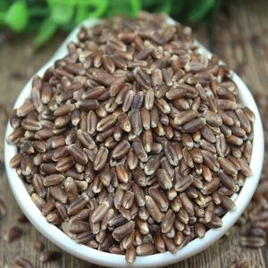 Natural Black Wheat Seed For Cooking, Bakery Products