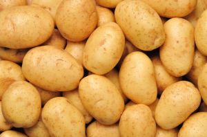 Natural Brown Chips Quality Potato, Packaging Size : 20 Kg