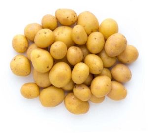 Natural Fresh Baby Potato, Packaging Size : 20 Kg