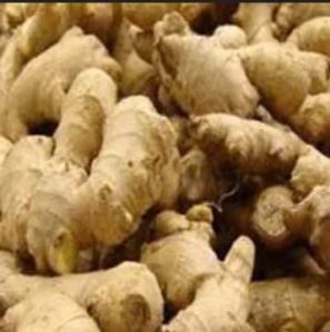 Fresh Indian Ginger, Packaging Size : 20 Kg