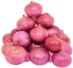 Fresh Pink Onion For Food