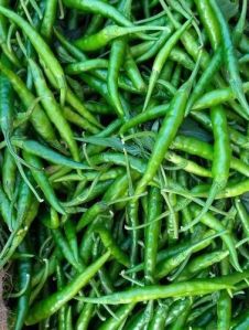 Natural Spicy Green Chilli For Cooking