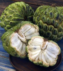 Custard Apple