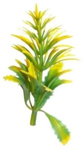 Cactus Dark Green Yellow - Artificial Plastic Plant Fillers