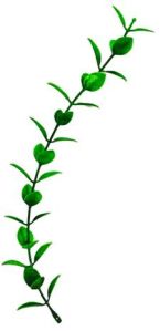 Long Jhalar Cone Dark Green Light Green - Artificial Plastic Plant Fillers