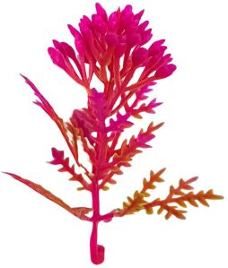 Moti Yellow Pink - Artificial Plastic Plant Fillers