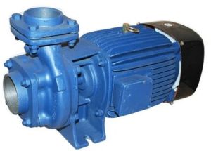 Heavy Duty Monoblock Pump