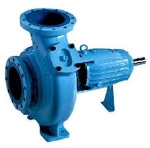 Electric Solid Handling Pump For Industrial Use