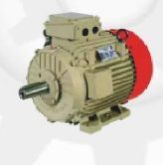 Three Phase Heavy Induction Motor