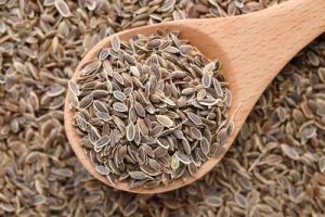 Natural Dill Seed For Human Consumption