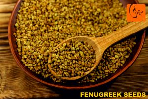 Natural Fenugreek Seed For Spices, Cooking