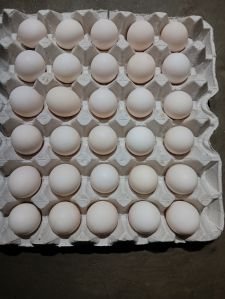 brown chicken eggs