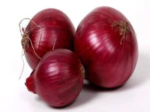 Fresh Red Onion For Human Consumption