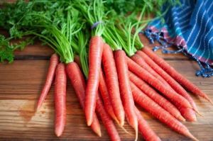 Organic Red Carrot