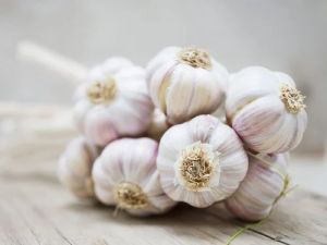 Organic White Garlic