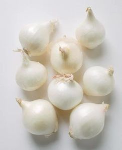 Small Size White Onion