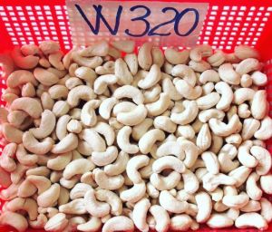 cashew nut w320