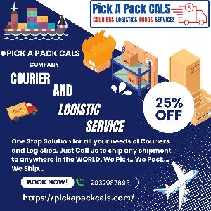 domestic courier services