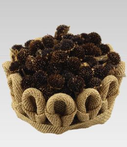 Arpan Enterprise Black Daisy Flowers, Color : Natural (black)