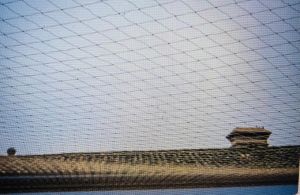 Nylon Bird Netting