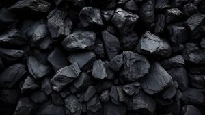 Coal Wood