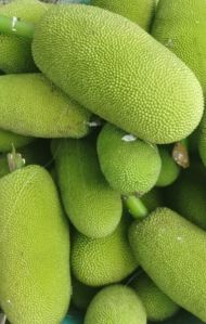 Jack Fruit