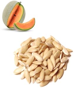 Cantaloupe Seeds, Packaging Size : 1kg